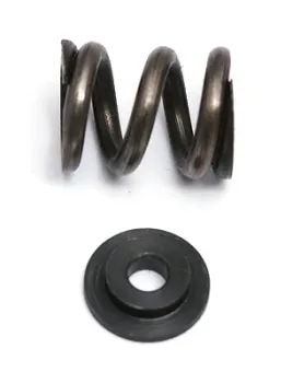 TEAM ASSOCIATED FT V2 Slipper Spring and Washer