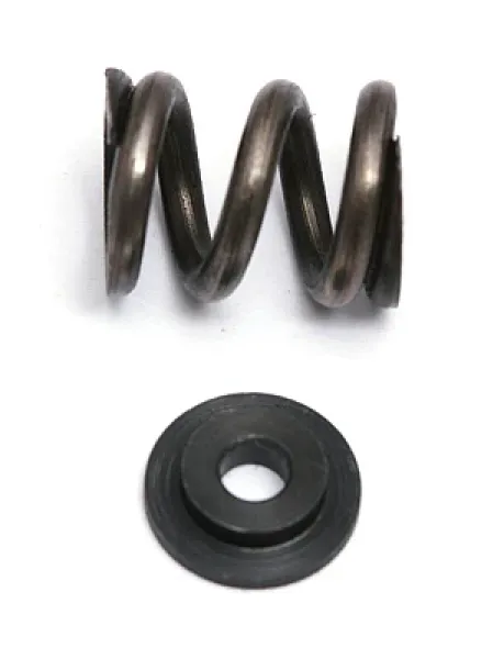 TEAM ASSOCIATED FT V2 Slipper Spring and Washer